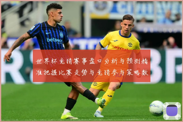 世界杯竞猜赛事盘口分析与预测精准把握比赛走势与竞猜参与策略数据研判-深度解析